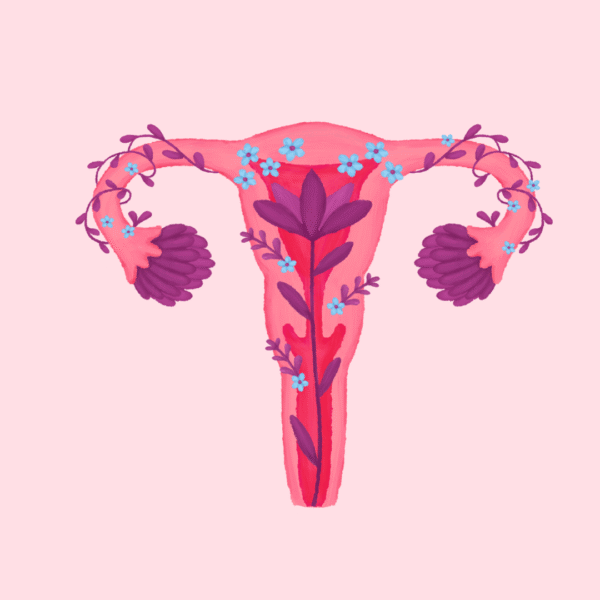 Limpieza energética de útero